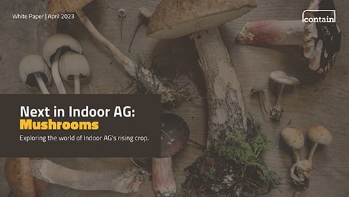 Featured image for “Next in Indoor AG: Mushrooms.Â  Exploring the world of Indoor AG’s rising crop.”